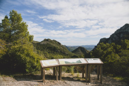Parpallo La Drova