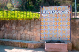 Puigmola Drova